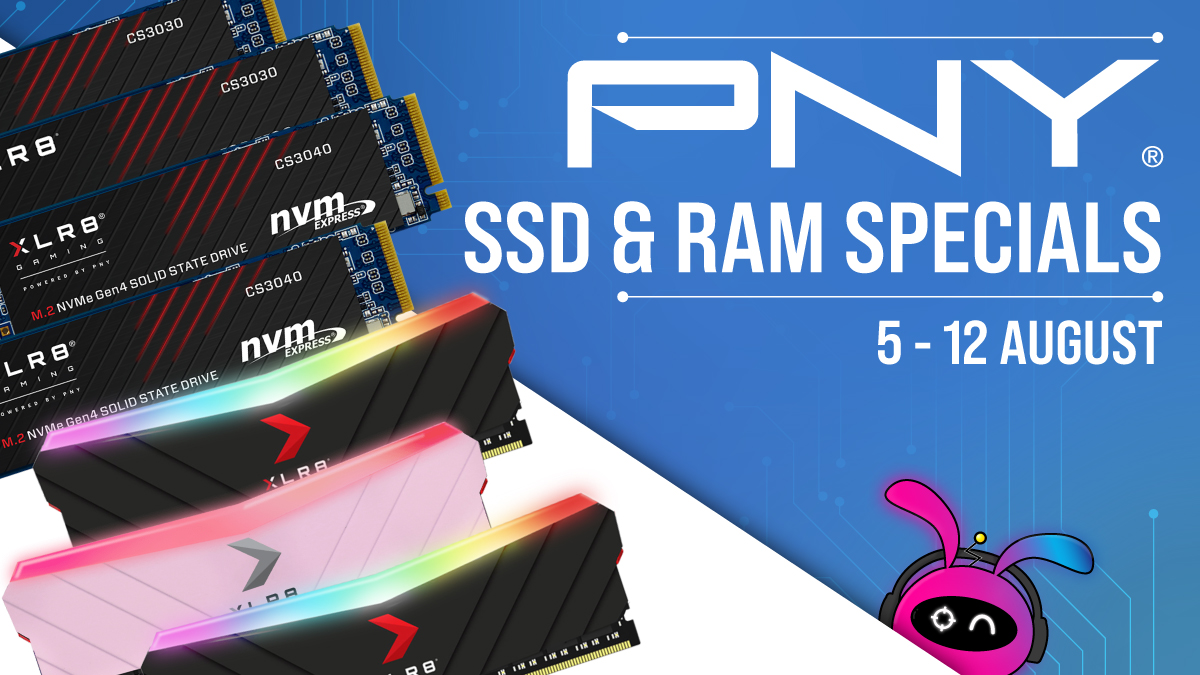 PNY-RAM-&-SSD-Sale.jpg