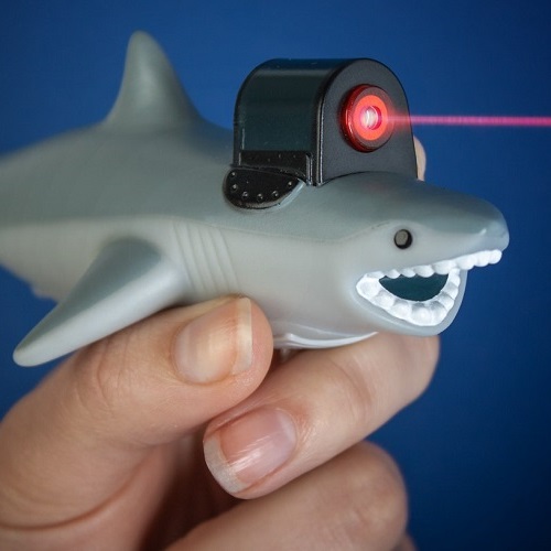 Shark With Frickin Laser Beam | Gifts For Men